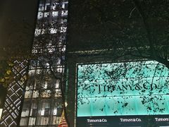 -Tiffany & Co.蒂芙尼
(南京德基广场店)