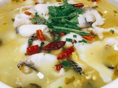 老坛黄金酸菜鱼-蜀腾川·火锅鱼.烤鱼(新世界城店)