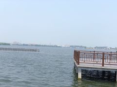 -鹅湖玫瑰文化园