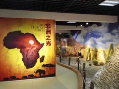-柳州市动物园