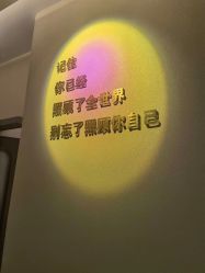 -隐逸SPA