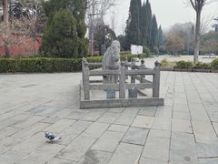 -洛阳白马寺