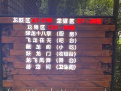 -二荆条·蜀鲜汇城市森林火锅