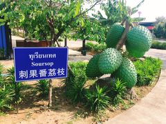 -东芭乐园