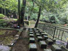 -云南屏边大围山国家公园