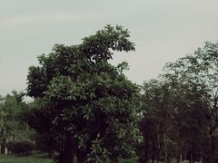 -金山公园
