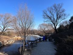 -北京西山国家森林公园