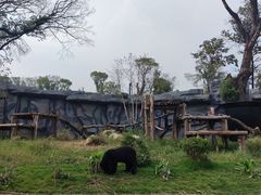 -武汉动物园