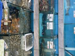 -考记泥焗鸡农庄·海鲜(北洛秘境店)