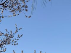 -颐和园