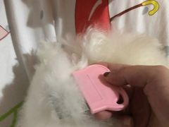 -家有小宠宠物美容(双楠街店)