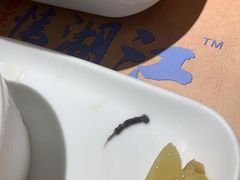 -江湖情酸菜鱼(万菱汇店)