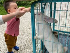 -成都安仁福朋喜来登酒店