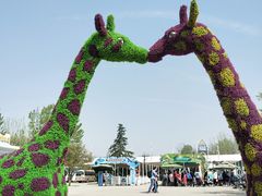 -西安秦岭野生动物园