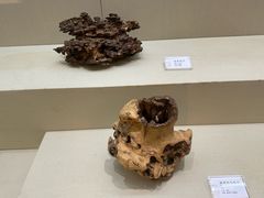 -香市公园-中国沉香文化博物馆