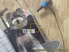 -仁普宠物诊所(住友昌盛新苑店)