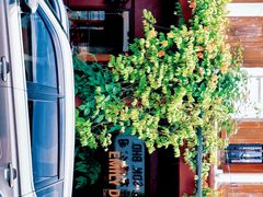 -槟城街头艺术街区