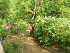 -终南山南五台景区