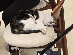 -Peet's Coffee皮爷咖啡(豫园店)