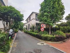 -大华梧桐墅大公馆