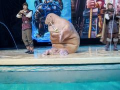 -哈尔滨波塞冬海底世界