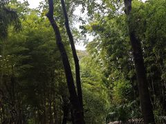 -望江楼公园