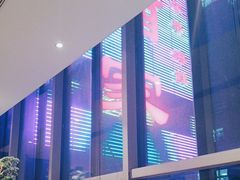 -同庆楼(天鹅酒家店)