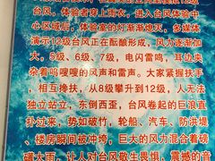 -白洋淀景区