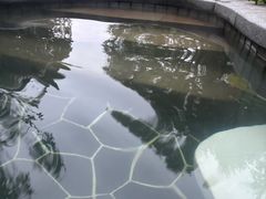 -海兰云天度假区温泉