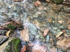 -本溪汤沟绿石谷森林公园