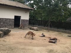 -上方山森林动物世界