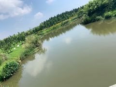 -瑶湖郊野森林公园