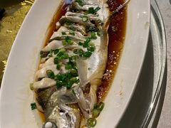 -金美华轩(东方路齐鲁店)