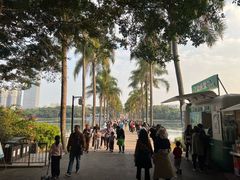 -南宁南湖公园