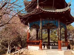 -古琴台
