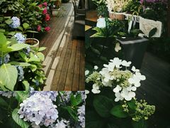 -柳湖小筑青年旅舍