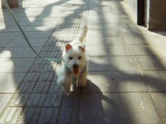 -柯达真美(老重庆中路店)