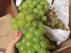 -马陆小张葡萄园农家乐