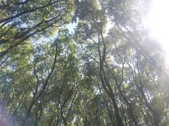 -同里国家湿地公园