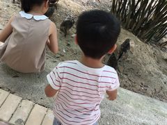 -泉州海丝野生动物世界