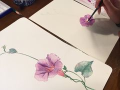 -六出私塾LiuChu•成人美术书法系统课程专业画室(熊婆婆的花园店)