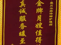 -爱贝尔高端月嫂(母婴护理)