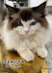 -施华蔻美发连锁