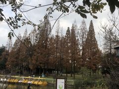-苏州上方山国家森林公园