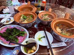 -大中鱼翅 Taitong Shark Fin