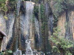 -西双版纳原始森林公园