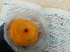 -南京医科大学(江宁校区)