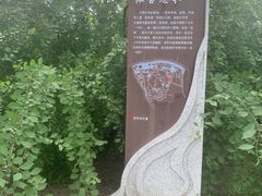 -万泉公园