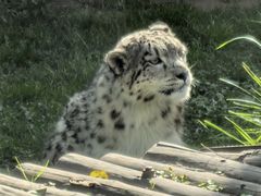 -青藏高原野生动物园