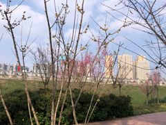 -三圣花乡旅游区